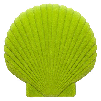 Boîte à Bijoux Coquillage Venus - Light Green 