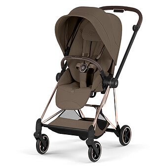 Assise Mios 2026 - Chocolate Brown