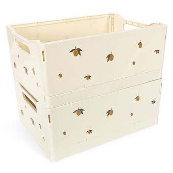Lot de 2 Boîtes de Rangement - Lemon