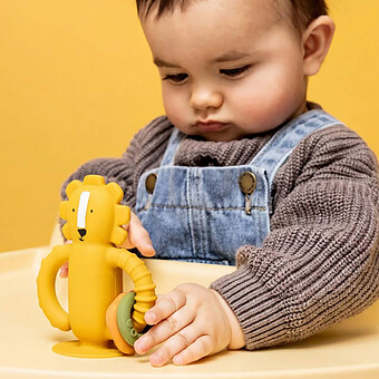Jouet Sensoriel en Silicone avec Ventouse - Mr. Lion