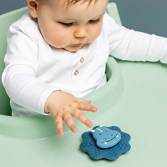 Jouet Spinner à Ventouse en Silicone - Mr. Triceratops