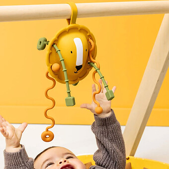 Jouet Sensoriel à Tirer en Silicone - Mr. Lion 