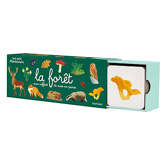 Mon Coffret de Mise en Paires - La Forêt
