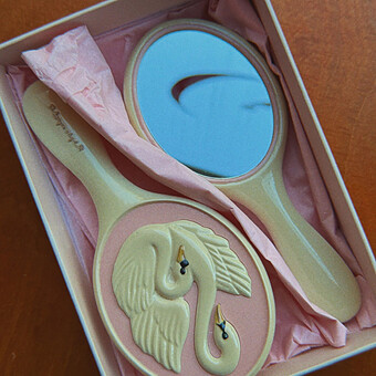 Brosse et Miroir - Swan
