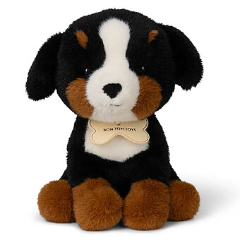 Benny le Bouvier Bernois 