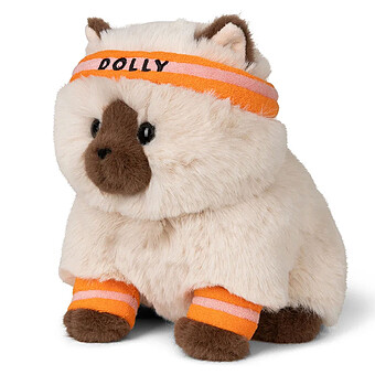 Dolly le Ragdoll
