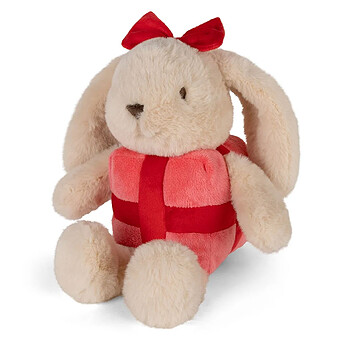 Bubbles le Lapin Cadeau