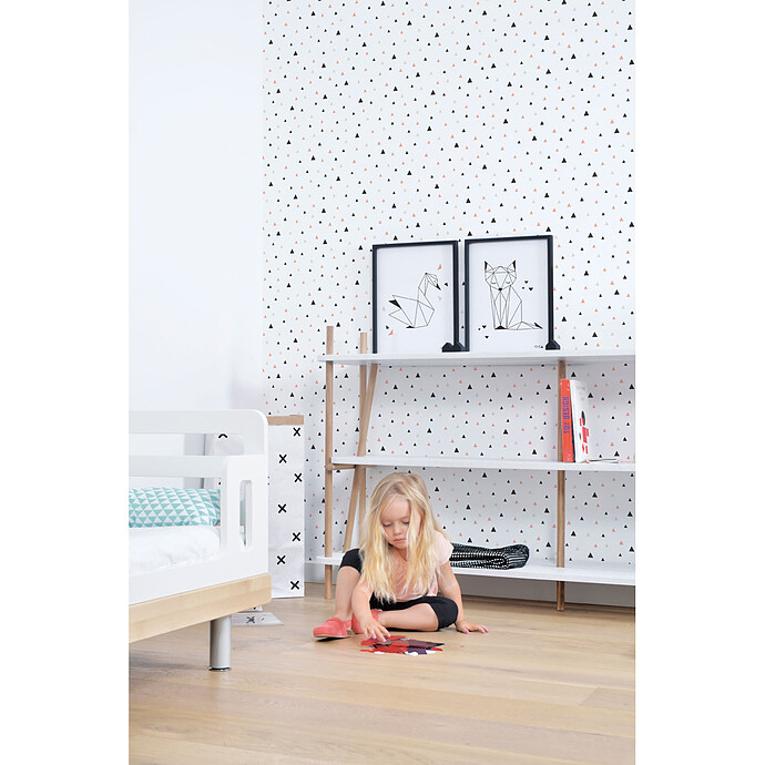 Affiches et posters