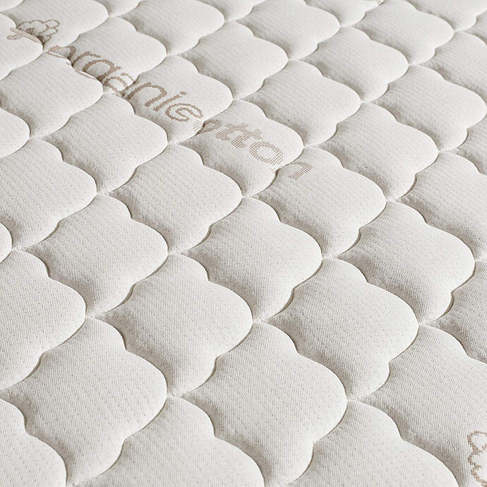 Achat Matelas Mon P'tit Matelas Coton Bio - 70 x 140 cm
