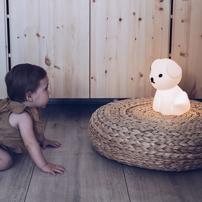 Veilleuse Lampe Snuffy First Light - Blanc Mr Maria