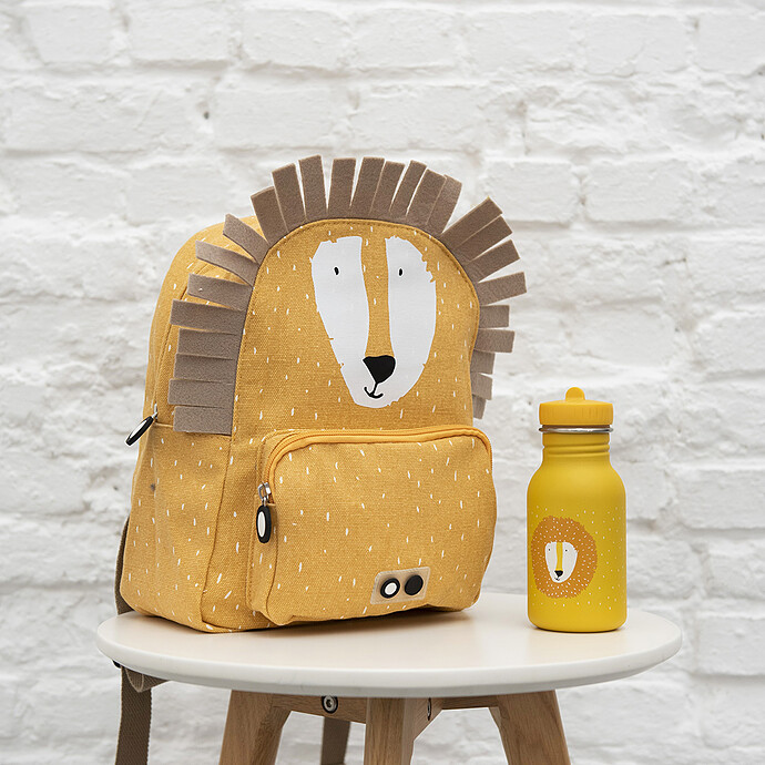 Avis Gourde Mr. Lion - 500 ml
