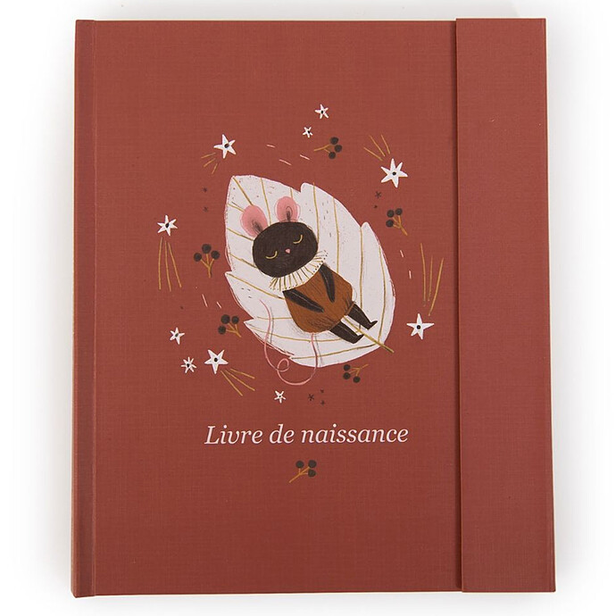 Livre de Naissance - Après la Pluie Moulin Roty