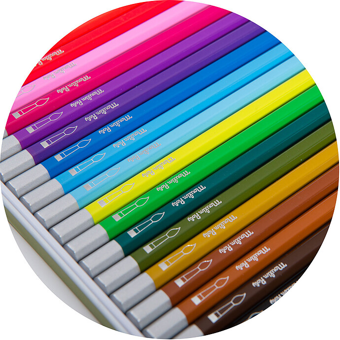 Avis Lot de 24 Crayons Aquarelables - Le Jardin du Moulin