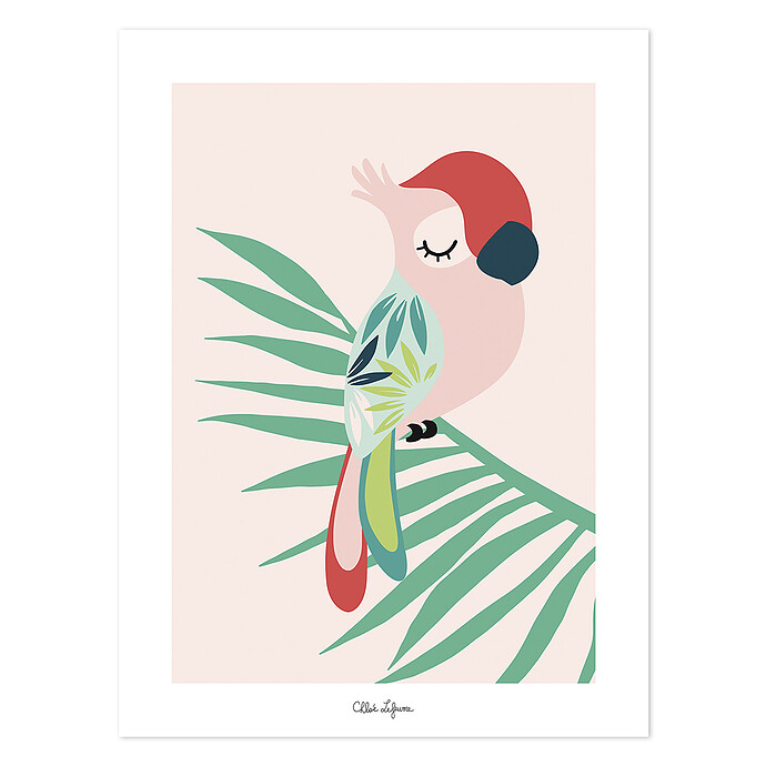 Affiche Tropica - Perroquet Rose Lilipinso