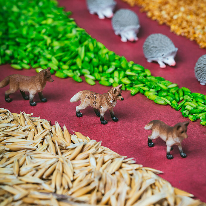 Bouteille Sensorielle Spy - Forêt Petit Boum