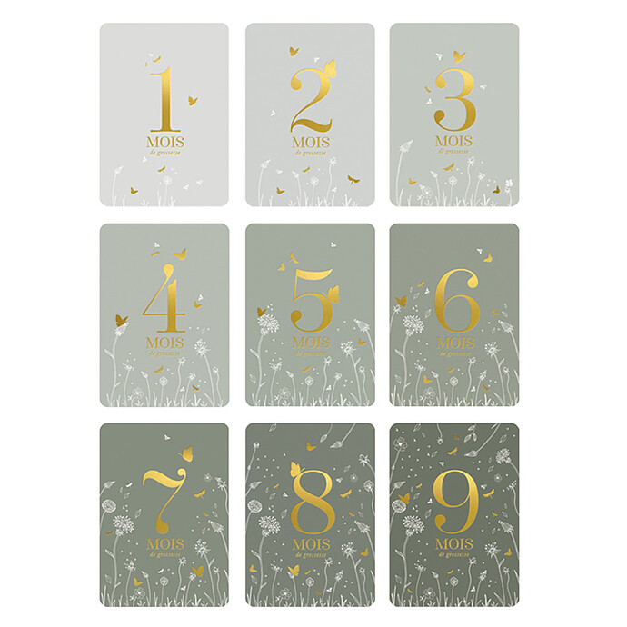Coffret Cartes Etapes au Jardin Zakuw