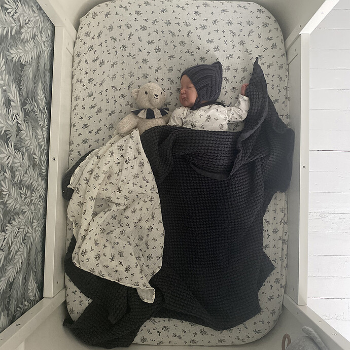 Housse Matelas à Langer - Sloeberry Bonjour Little
