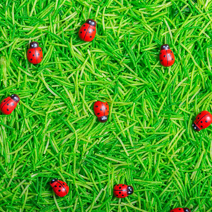 Bouteille Sensorielle Sound - Coccinelles Petit Boum