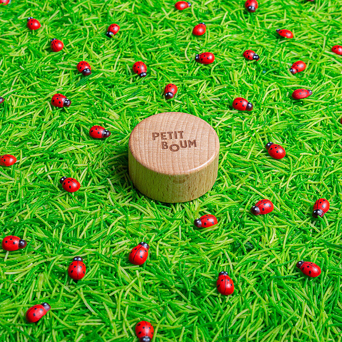 Avis Bouteille Sensorielle Sound - Coccinelles