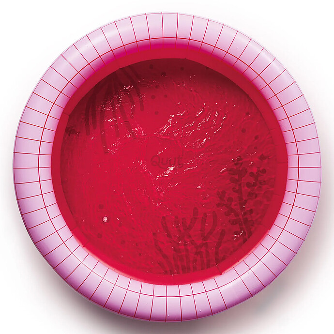 Piscine Dippy Medium - Cherry Quut