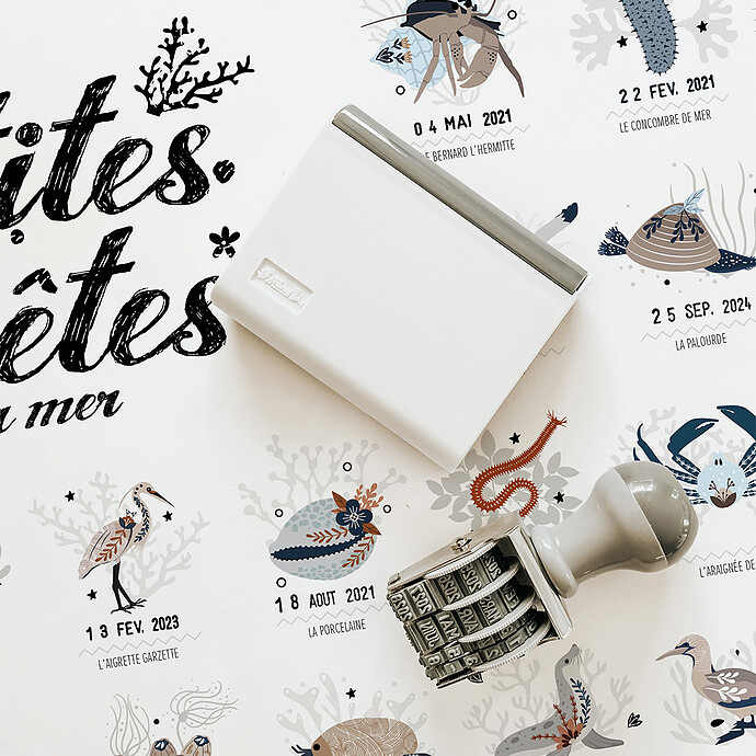 Avis Affiche Les Petites Bêtes de la Mer - 50 x 40 cm