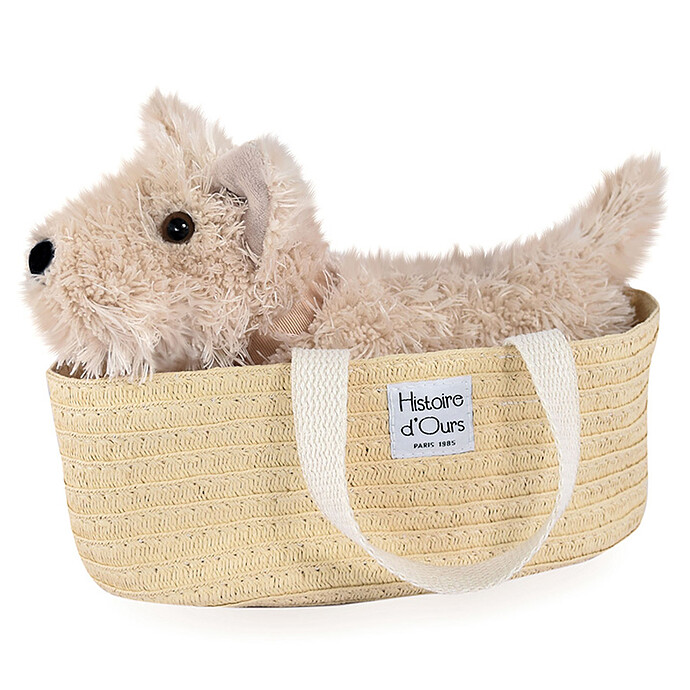Fox - Les Petits Nomades Histoire d'Ours