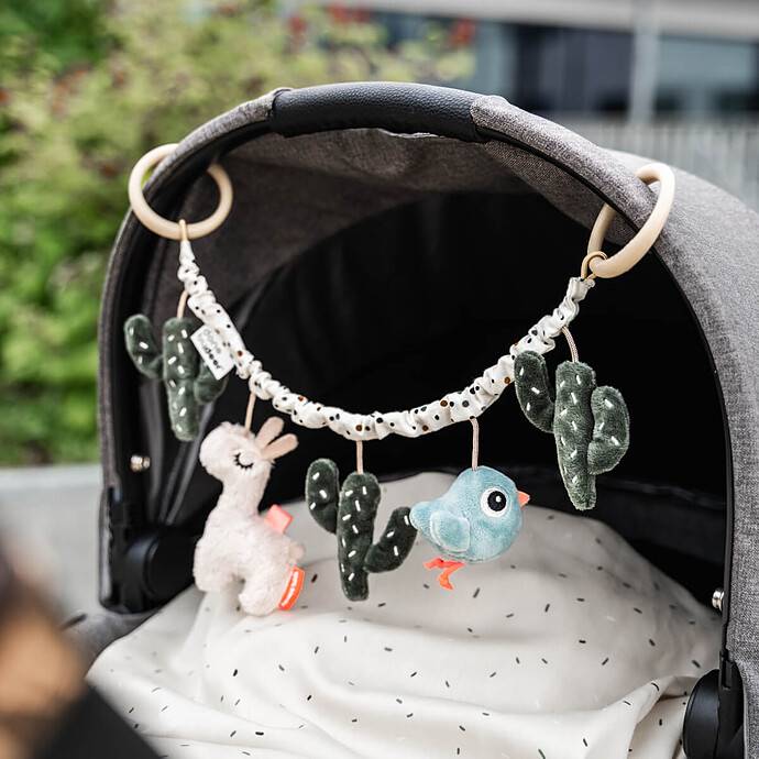 Accessoires poussette