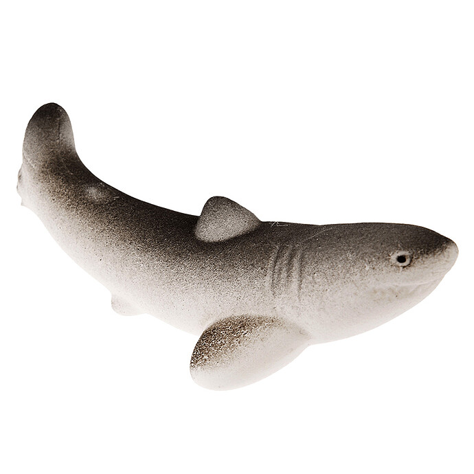 Achat Oeuf Magique Requin