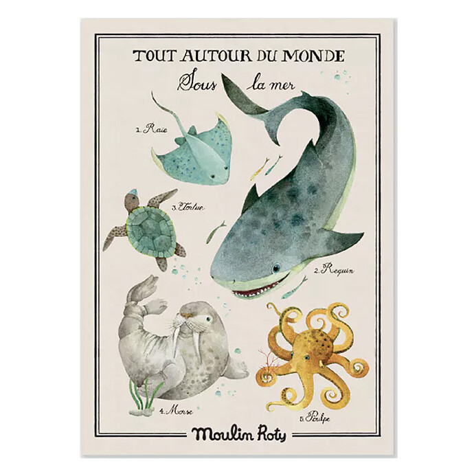 Affiche Sous la Mer Tout Autour du Monde - 70 x 50 cm Moulin Roty