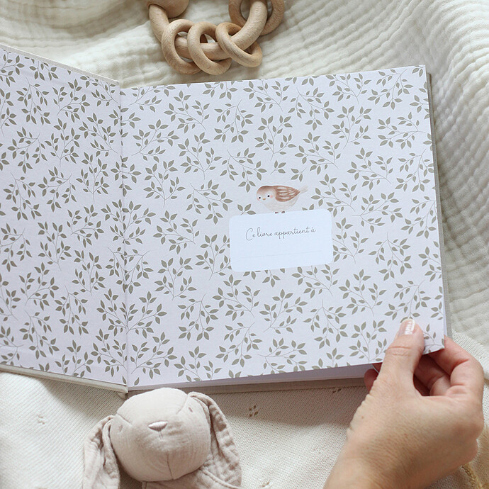 Avis Livre Souvenirs de Bébé Première Année