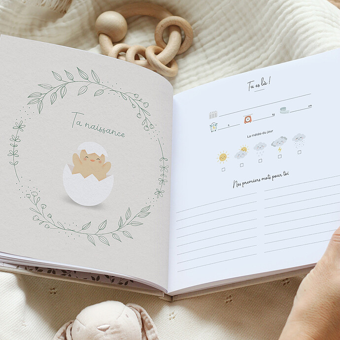 Achat Livre Souvenirs de Bébé Première Année