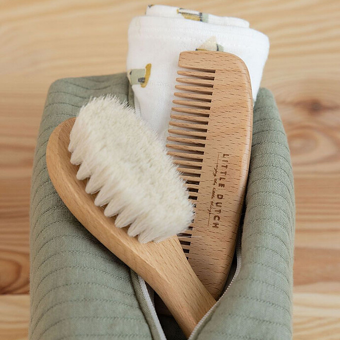 Brosse et Peigne Little Dutch