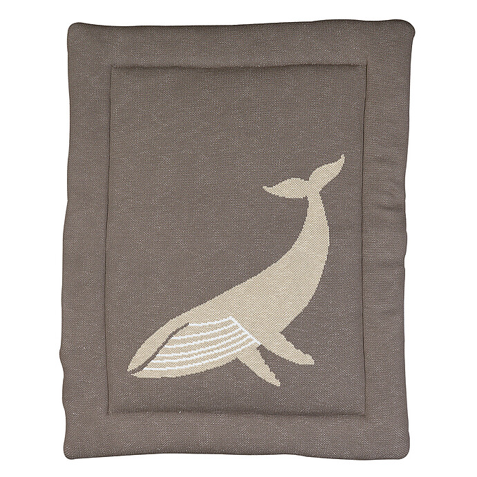 Fond de Parc Tricot - Baleine Quax