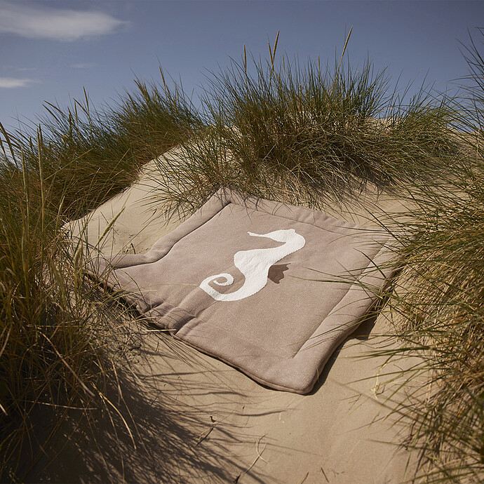 Tapis éveil