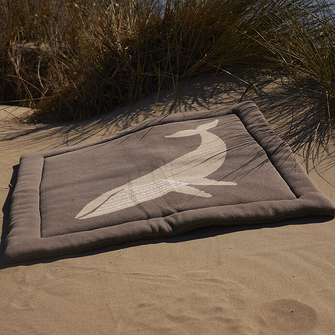 Tapis éveil