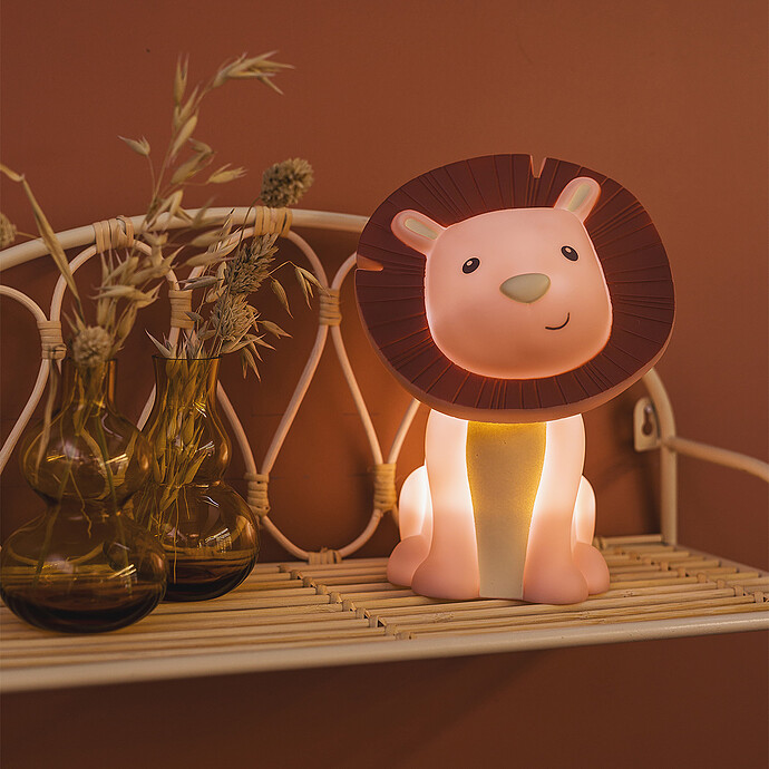 Avis Veilleuse Rechargeable Hakuna - Magnolia