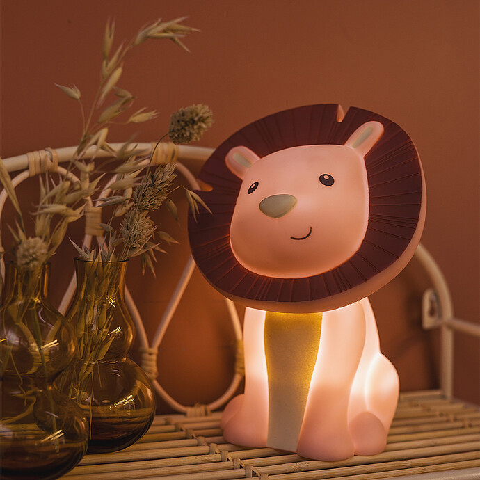 Achat Veilleuse Rechargeable Hakuna - Magnolia