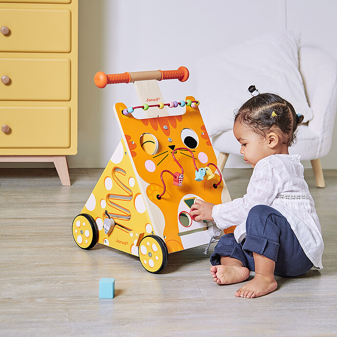 Chariot Multi-activités Chat Janod