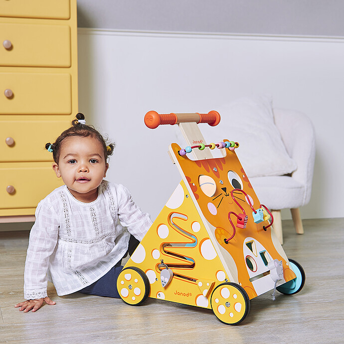 Avis Chariot Multi-activités Chat