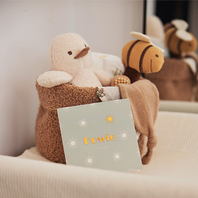 Achat Panier de Rangement Boucle - Biscuit