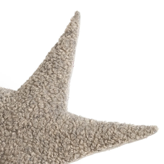 Avis Petite Etoile de Mer Sable