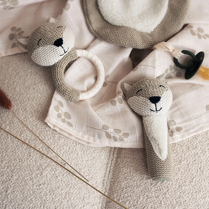 Avis Anneau de Dentition Fox