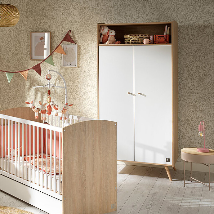 Armoire 2 Portes Access - Bois Blanc Sauthon