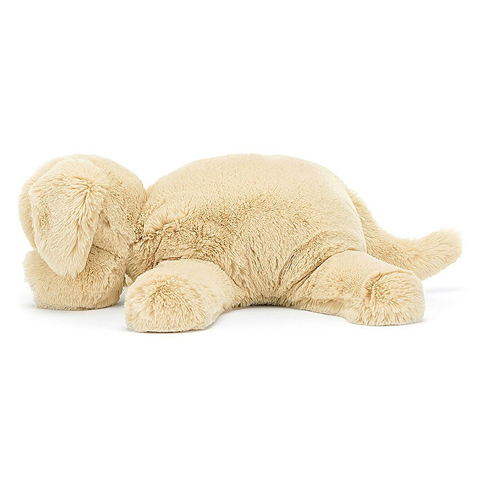 Avis Wanderlust Puppy