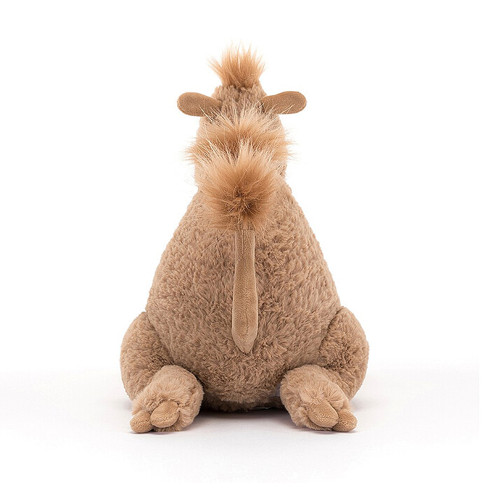 Avis Richie Dromedary