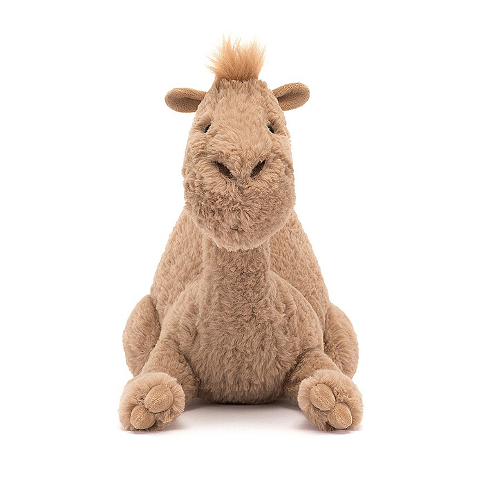 Achat Richie Dromedary