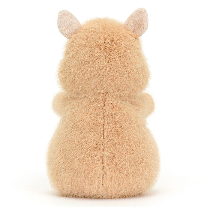 Avis Hank Hamster