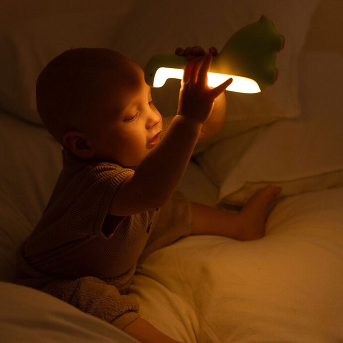 Avis Veilleuse LED - Dinosaure
