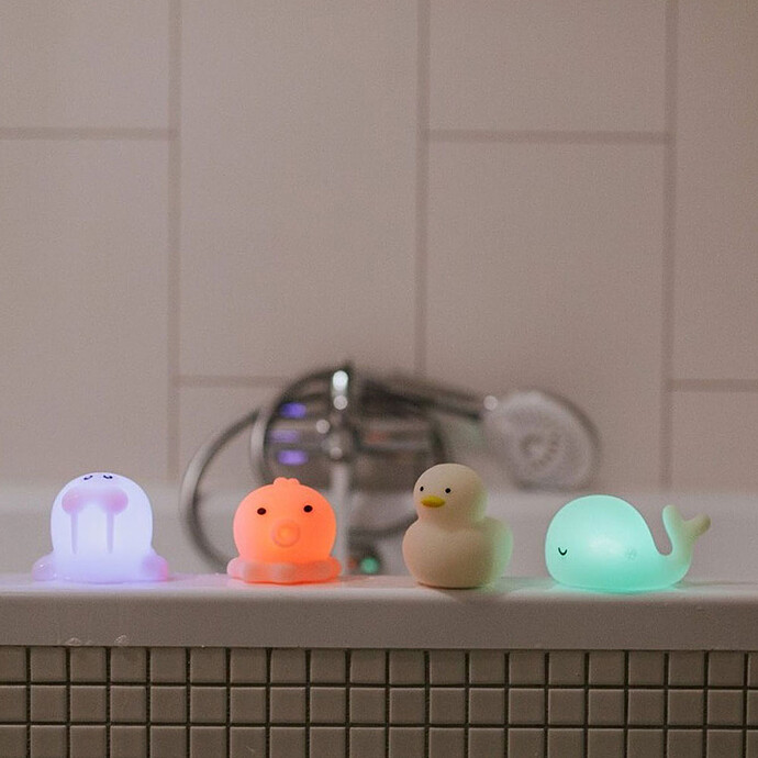 Mes premiers jouets