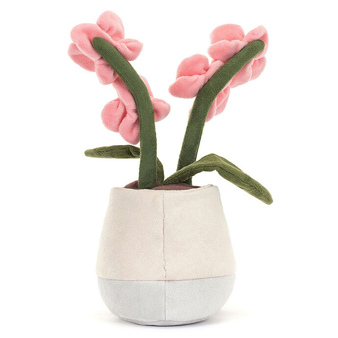 Avis Amuseables Pink Orchid